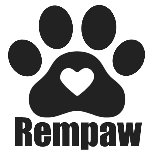 51 Pet Loss Quotes to Comfort a Grieving Heart