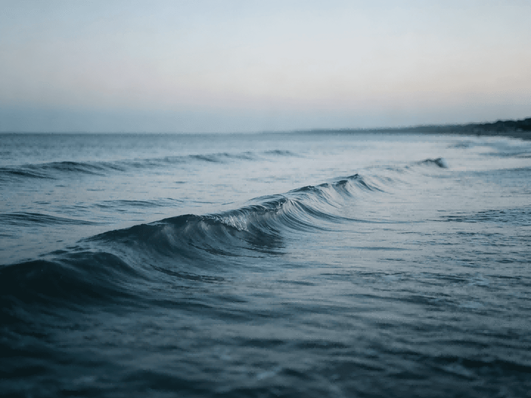 What Grief Really Feels Like After Losing a Pet (And Why It Comes in Waves)