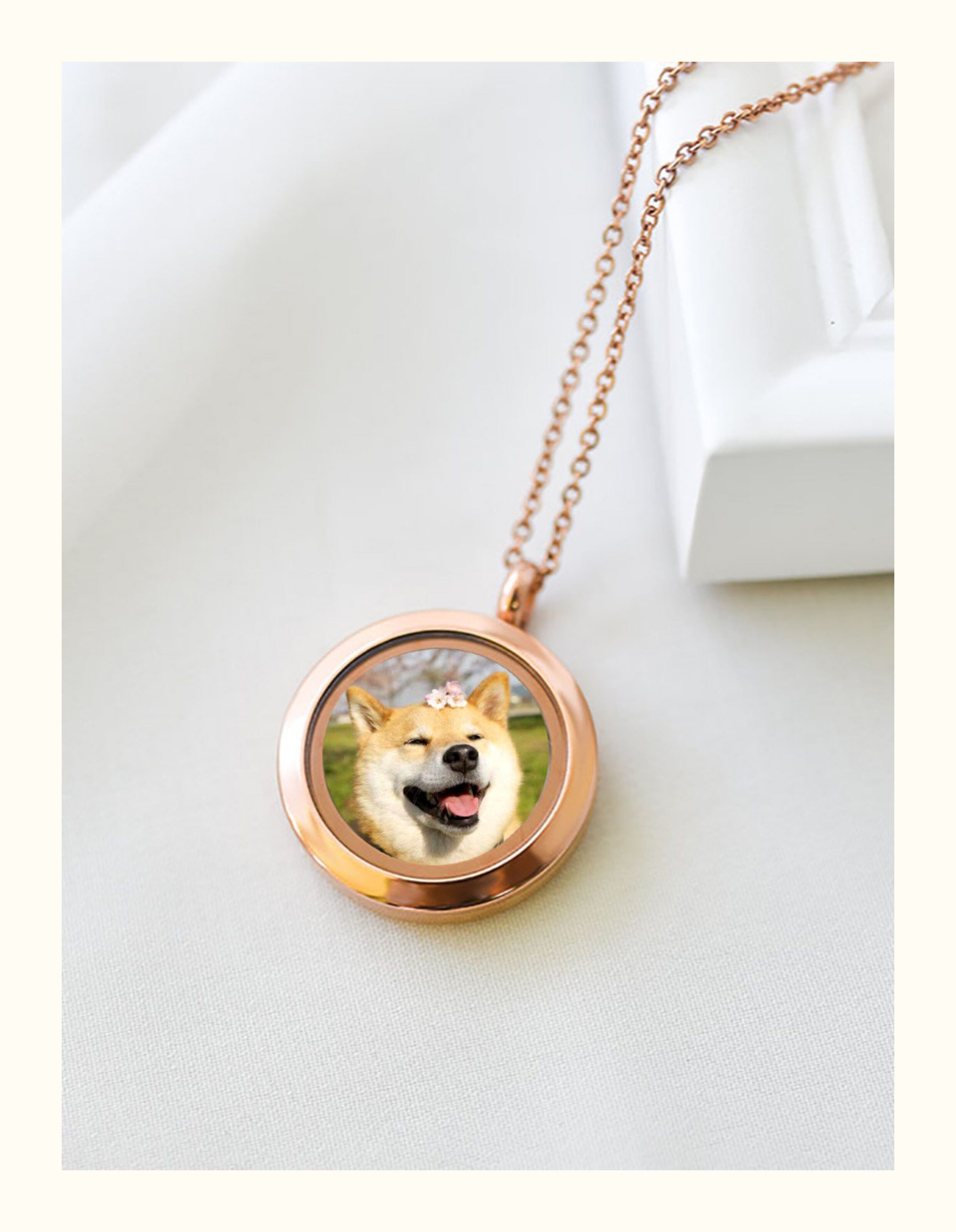 d6.jpg