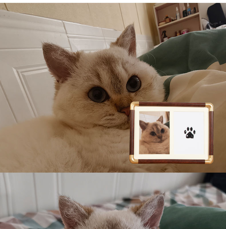 d5.jpg